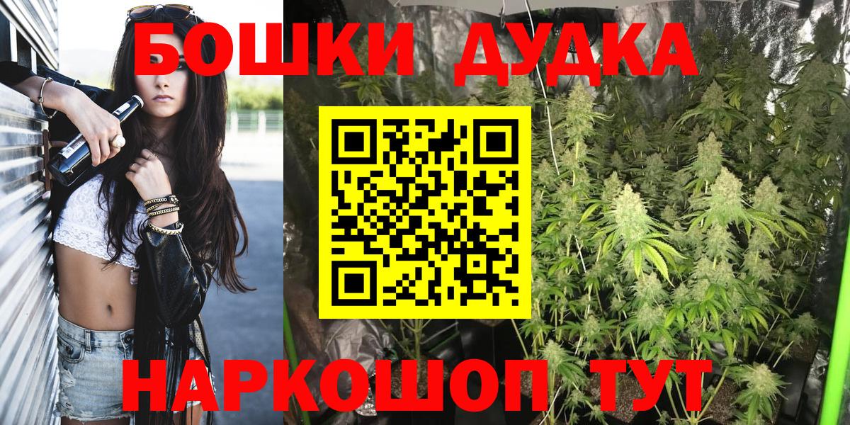 Каннабис планчик Печора